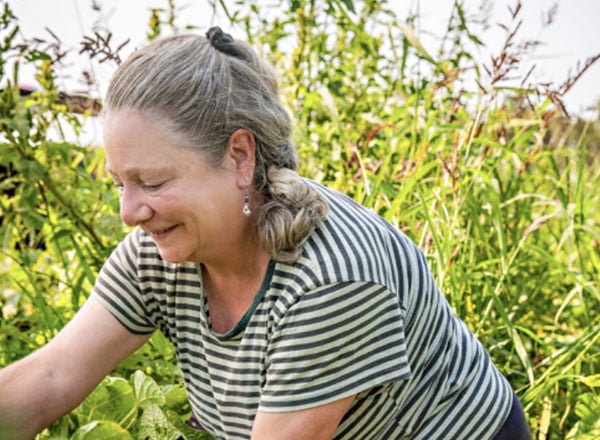 Island Grown Initiative